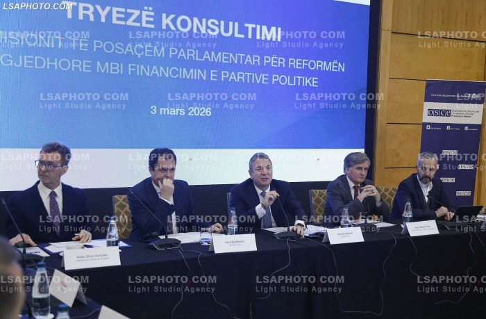 Konsultim per reformen zgjedhore