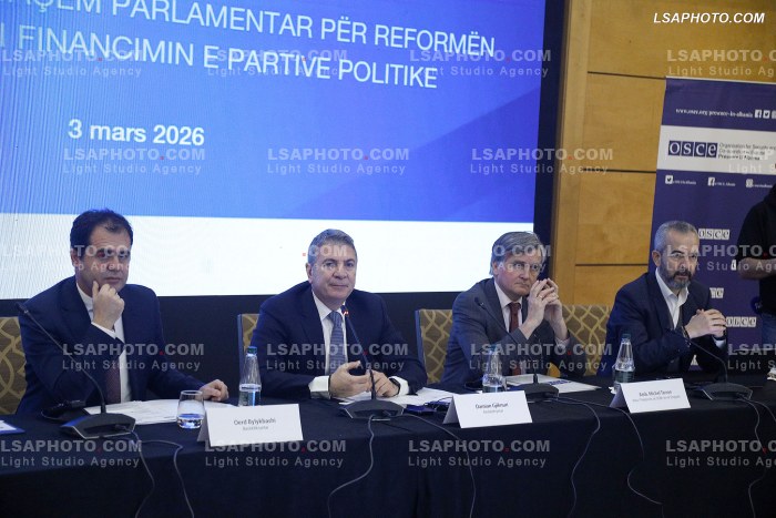 Konsultim per reformen zgjedhore