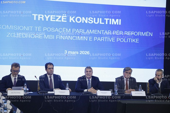 Konsultim per reformen zgjedhore