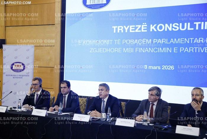 Konsultim per reformen zgjedhore