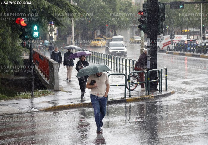 Shi Ne Tirane