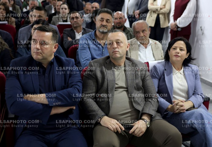 Takim i komisionit per reformen territoriale ne Diber