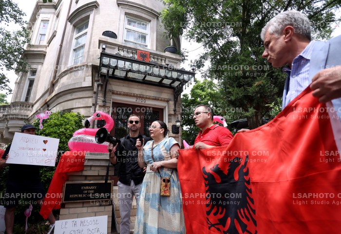 Proteste ne Washington DC per Zvernecin
