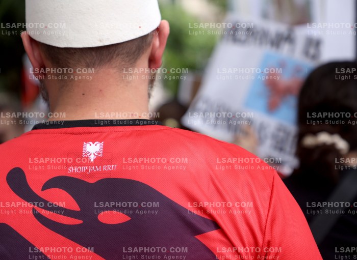 Proteste ne Washington DC per Zvernecin
