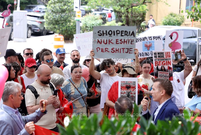 Proteste ne Washington DC per Zvernecin