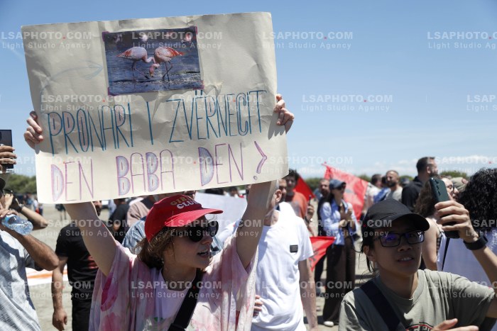 Proteste ne Narte dhe Zvernec