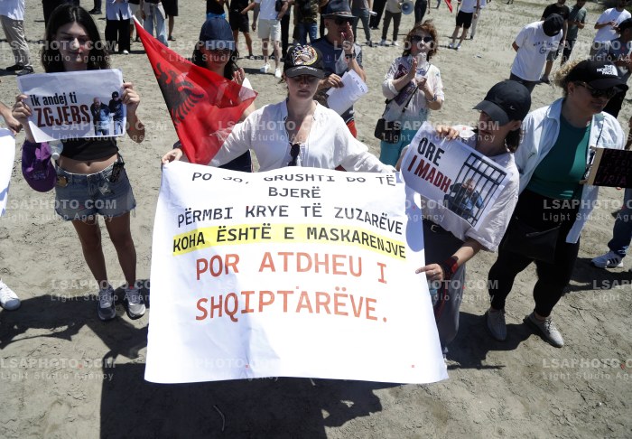 Proteste ne Narte dhe Zvernec