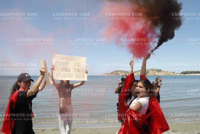 Proteste ne Narte dhe Zvernec