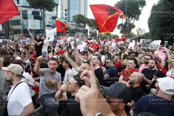 Dita e Shtate e Protestes