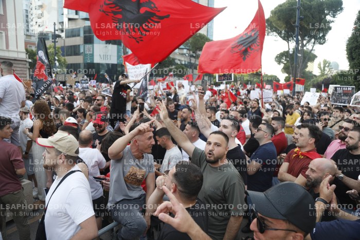 Dita e Shtate e Protestes