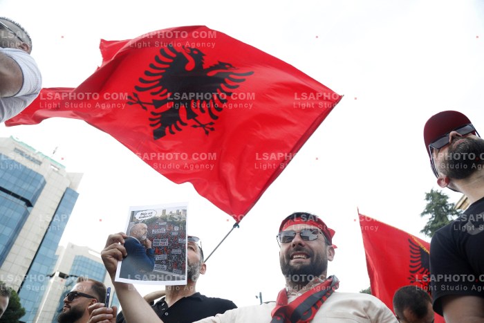 Dita e Shtate e Protestes