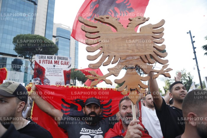 Dita e Shtate e Protestes