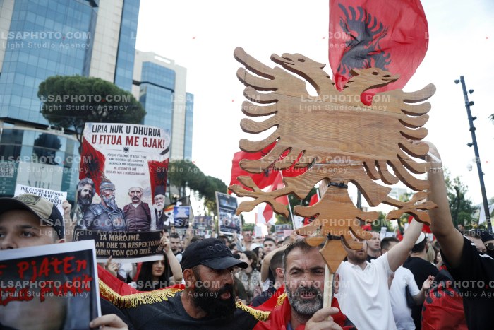 Dita e Shtate e Protestes