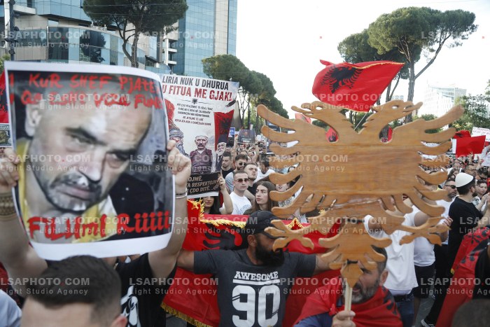 Dita e Shtate e Protestes