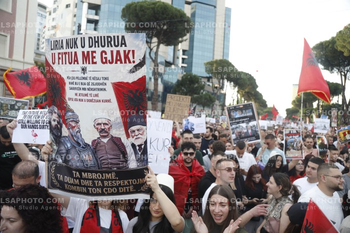 Dita e Shtate e Protestes