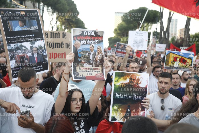 Dita e Shtate e Protestes