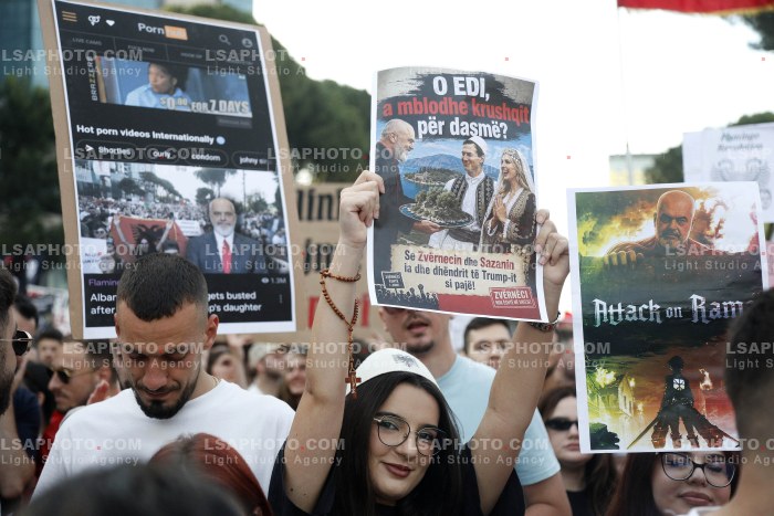Dita e Shtate e Protestes