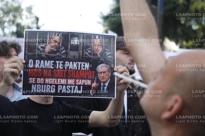Dita e Shtate e Protestes