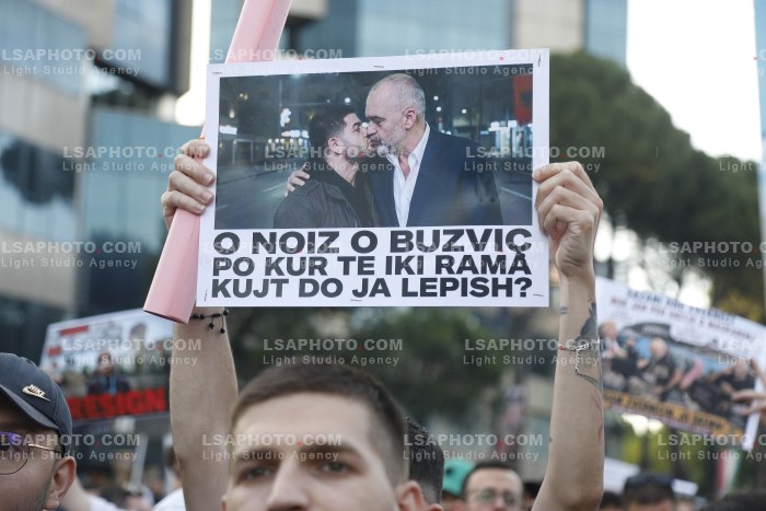 Dita e Shtate e Protestes