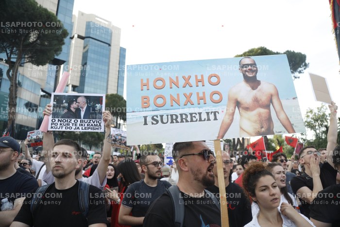 Dita e Shtate e Protestes