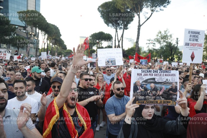 Dita e Shtate e Protestes