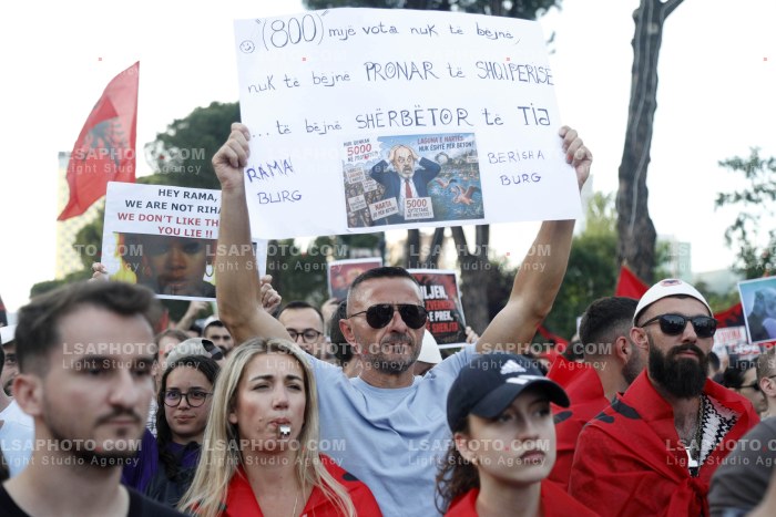 Dita e Shtate e Protestes