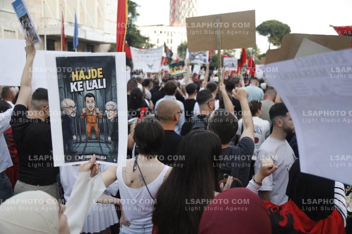 Dita e Shtate e Protestes