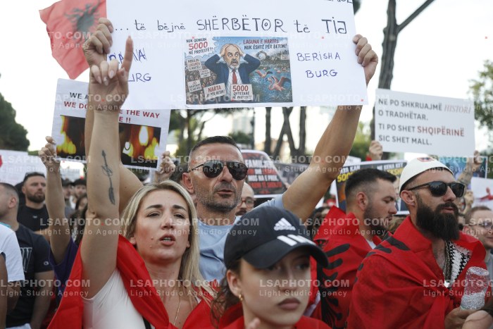 Dita e Shtate e Protestes