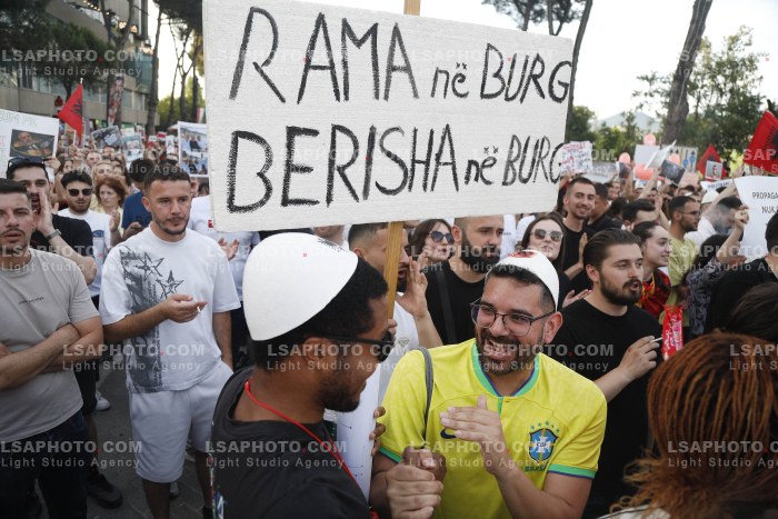 Dita e Shtate e Protestes