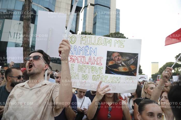 Dita e Shtate e Protestes