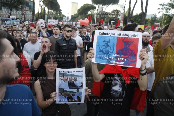 Dita e Shtate e Protestes