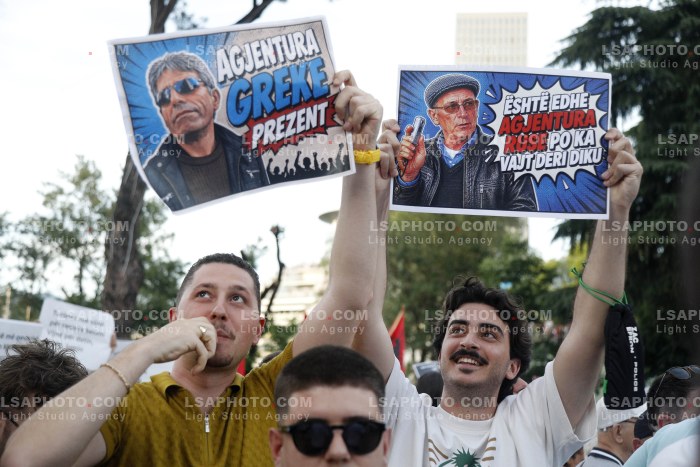 Dita e Shtate e Protestes