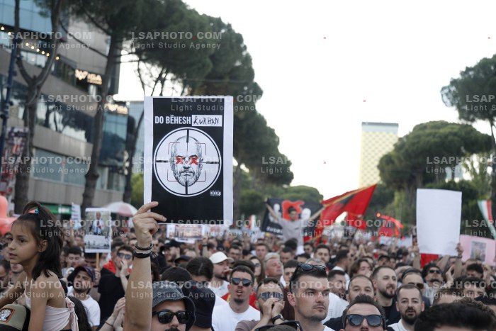 Dita e Shtate e Protestes