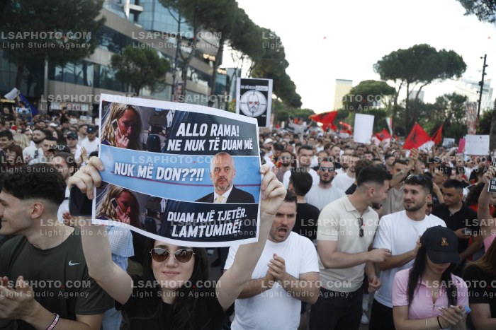 Dita e Shtate e Protestes