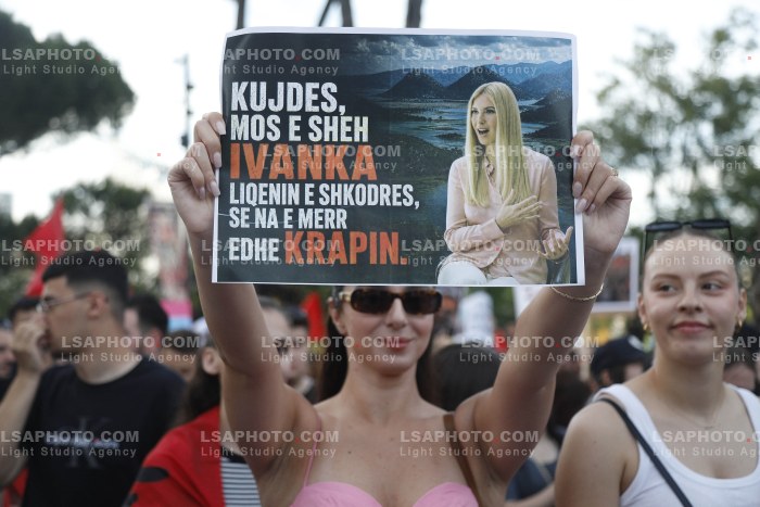 Dita e Shtate e Protestes