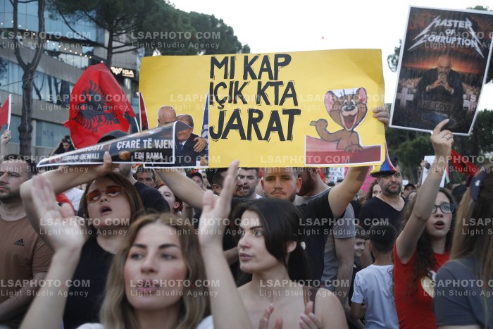 Dita e Shtate e Protestes