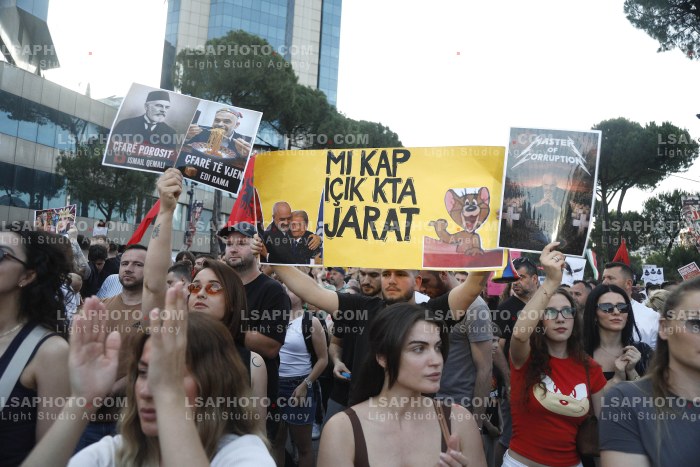Dita e Shtate e Protestes