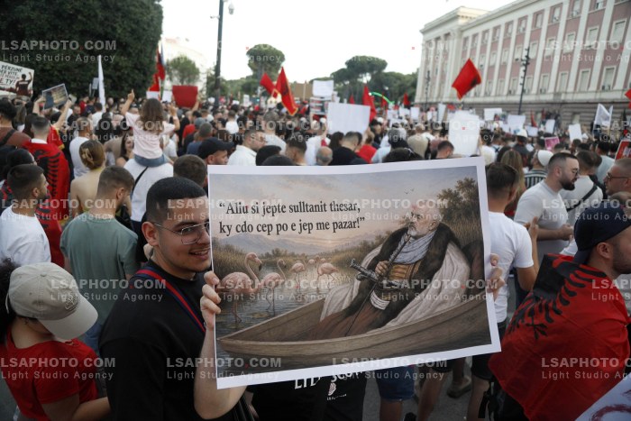 Dita e Shtate e Protestes