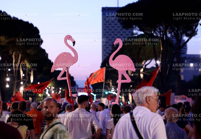 Protesta e Qytetareve para Kryeministrise ne Diten e 42