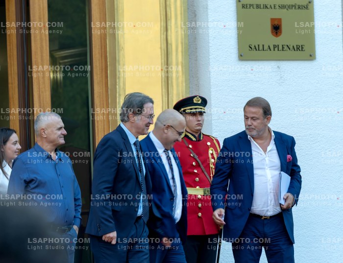 Ministra dhe deputete jashte parlamenti