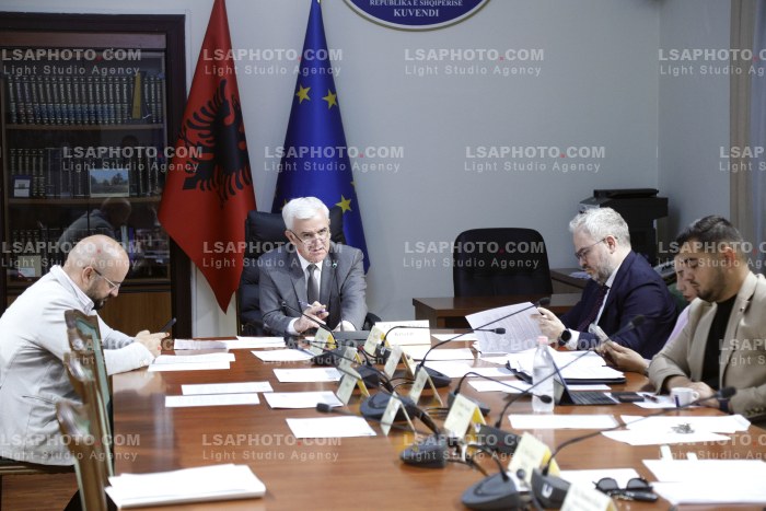 Komision parlamentar per nismat qytetare