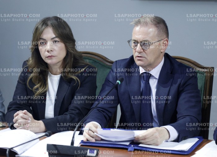 Komision parlamentar per nismat qytetare