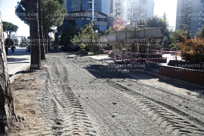 Dita e Shtate e Protestes se Thirrur nga Studentet ne Tirane
